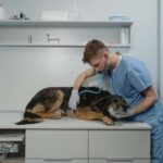 Cane veterinario